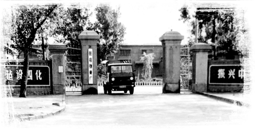 老张店斜马路上走出的小巨人