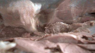 苏州藏书羊肉哪家好吃,藏书羊肉正宗做法视频