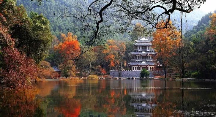 专访|唱响“漓江福地古韵灵川”品牌,灵川县这样做……