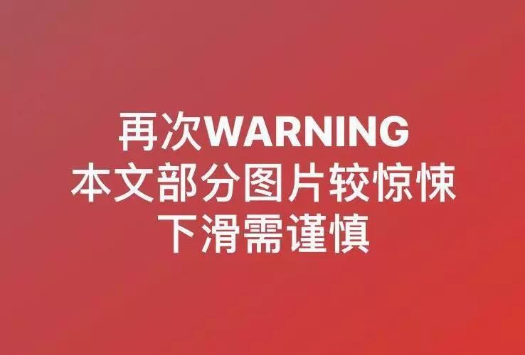 澳大利亚现巨型蜘蛛,澳大利亚巨型蜘蛛在哪出现