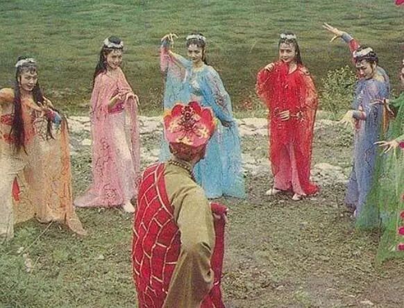 澳大利亚现巨型蜘蛛,澳大利亚巨型蜘蛛在哪出现