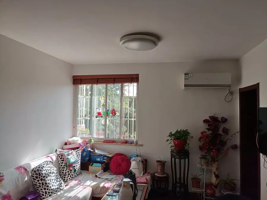 3.5亿元房子,园区最贵房产拍卖