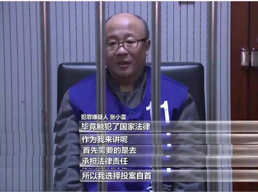 张小雷钱宝网案件最新进展,钱宝网案退赔比例