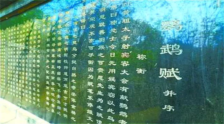 祢衡在历史中经典语录,祢衡是个怎样的人