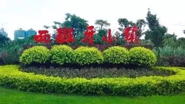 你家的小区名“崇洋媚外”吗？民政部最新回应来了