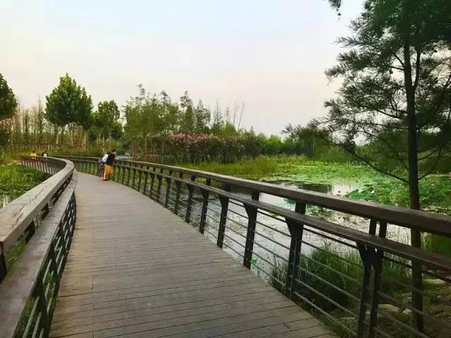 郑州湿地公园有啥好玩的,郑州周边的这七大湿地公园