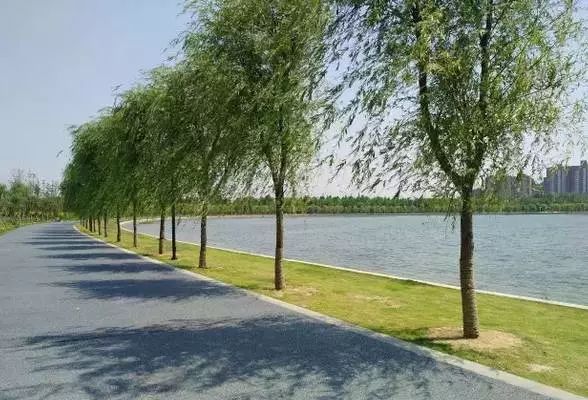 郑州湿地公园有啥好玩的,郑州周边的这七大湿地公园