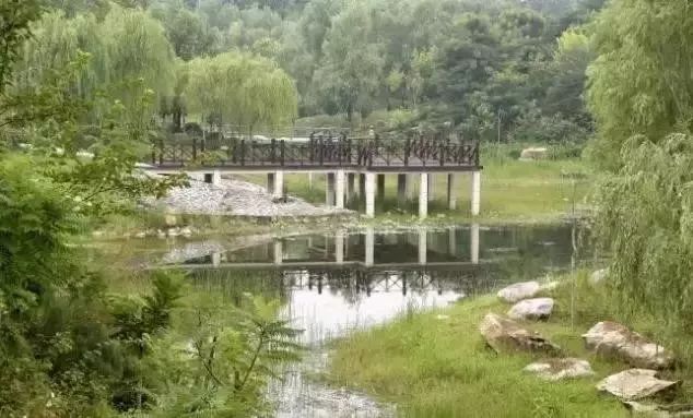 郑州湿地公园有啥好玩的,郑州周边的这七大湿地公园