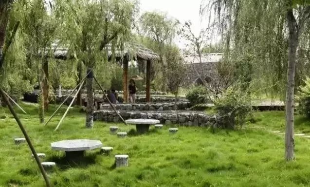 郑州湿地公园有啥好玩的,郑州周边的这七大湿地公园