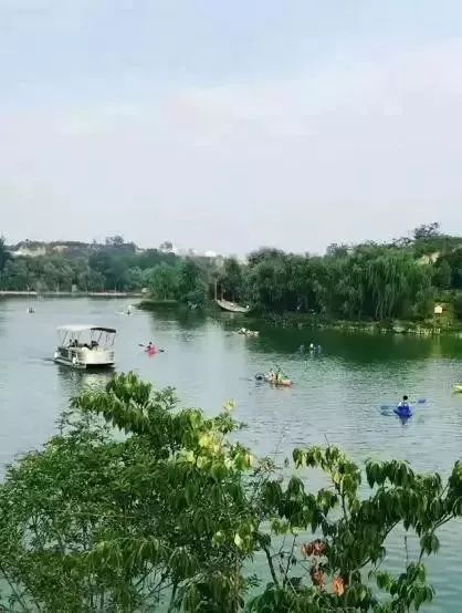 郑州湿地公园有啥好玩的,郑州周边的这七大湿地公园