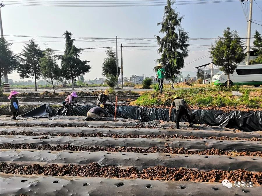 「为民」健康扶贫“组合拳”,拳拳到“要害”