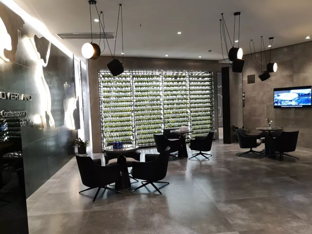 丛林法则特别版,丛林法则的优劣之处