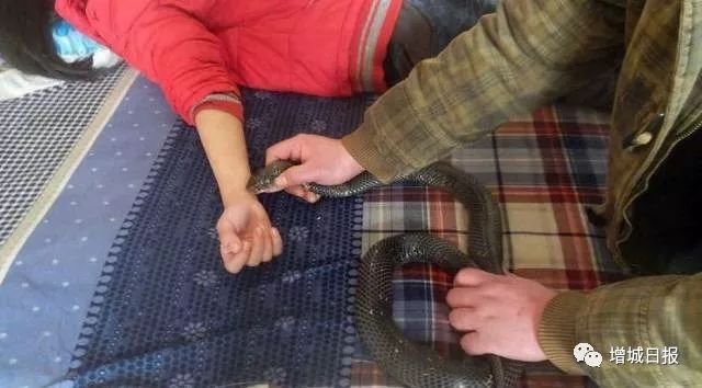 一男子用民间偏方治病险送命!这些偏方都是血淋淋的教训,千万别信