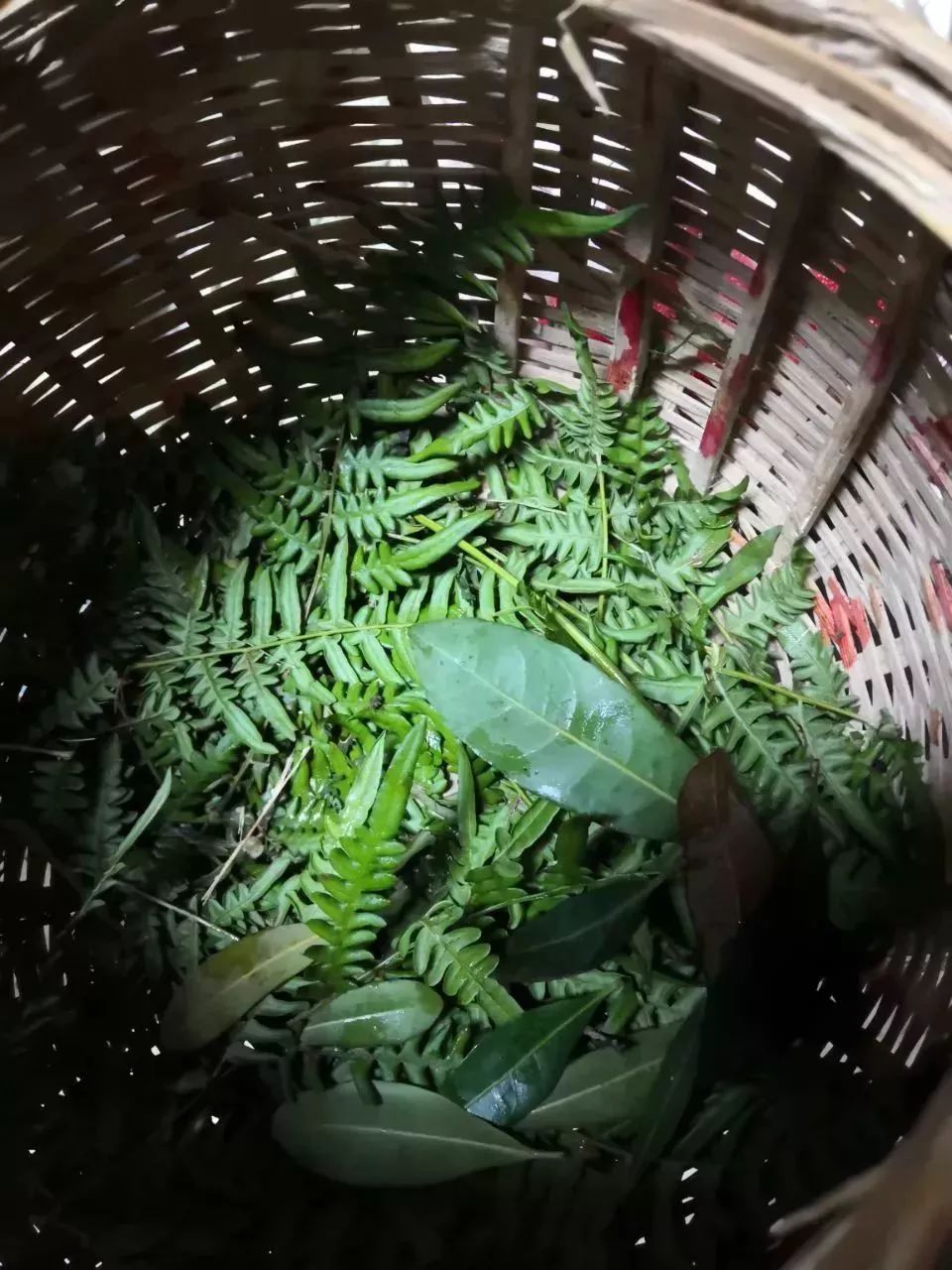 在路边买杨梅注意事项,在路边卖杨梅