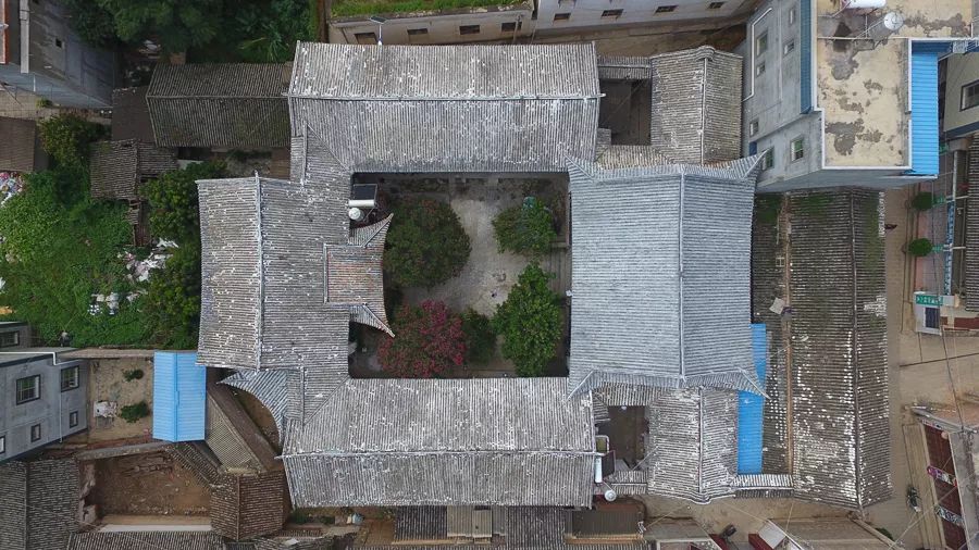 「人文宾川」古院沧桑，古树依然，这里的“花海”盛开在六月——李氏宗祠火把花