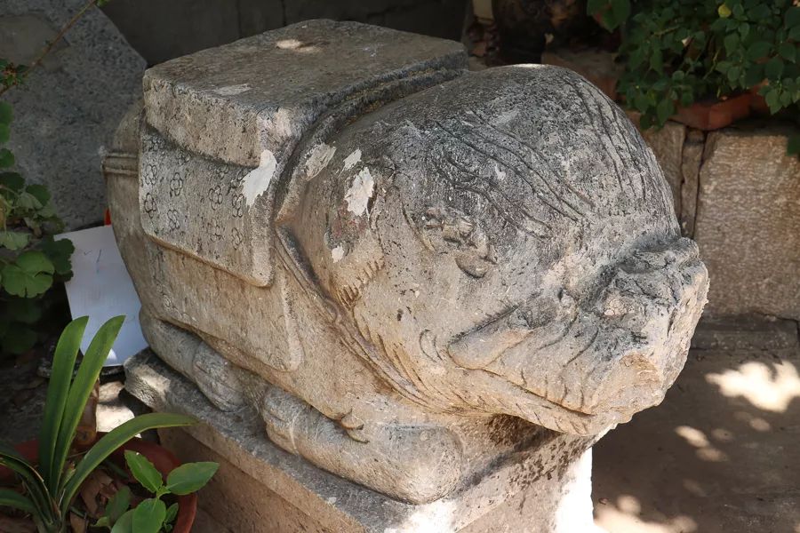 「人文宾川」古院沧桑，古树依然，这里的“花海”盛开在六月——李氏宗祠火把花