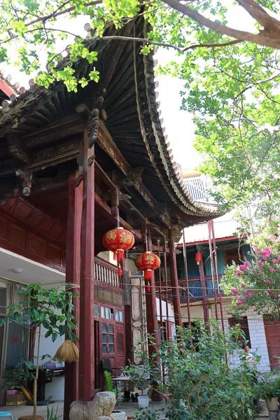 「人文宾川」古院沧桑，古树依然，这里的“花海”盛开在六月——李氏宗祠火把花