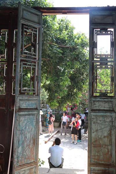 「人文宾川」古院沧桑，古树依然，这里的“花海”盛开在六月——李氏宗祠火把花