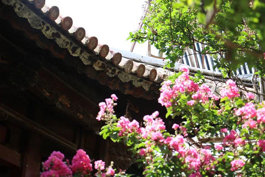 「人文宾川」古院沧桑，古树依然，这里的“花海”盛开在六月——李氏宗祠火把花