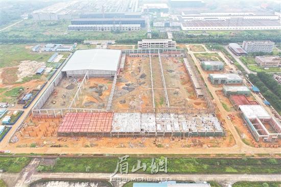 眉山国际盛会什么时候开,国际峰会发展趋势