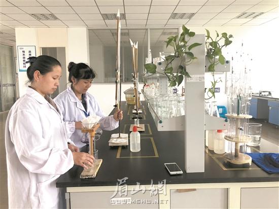 眉山国际盛会什么时候开,国际峰会发展趋势