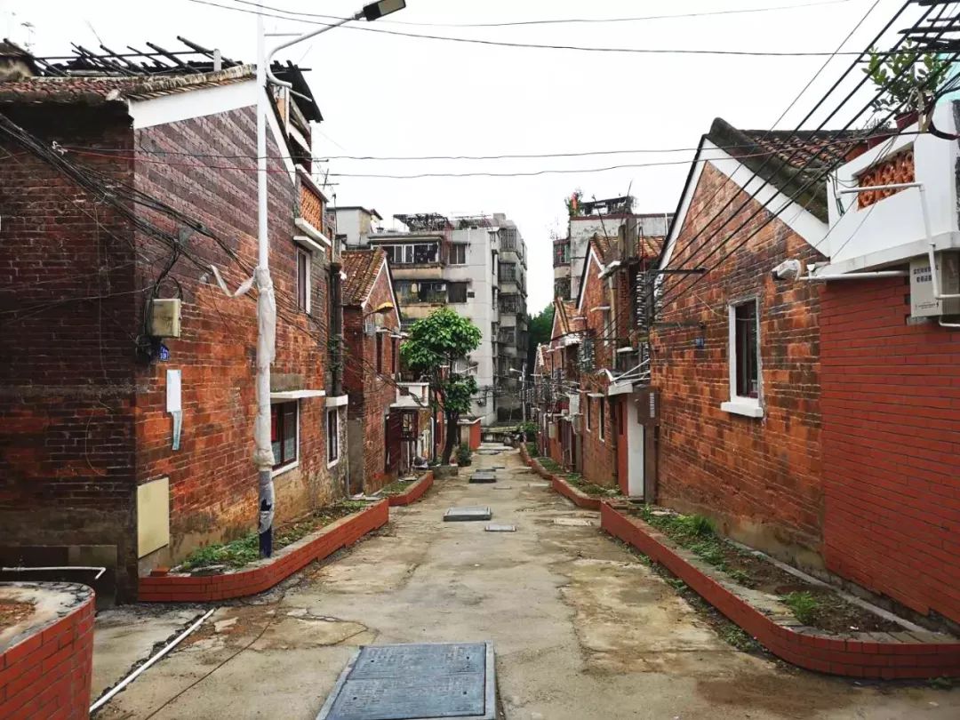 不再水浸、拐角见绿…藏在这里的旧时光与烟火气，更加绚丽