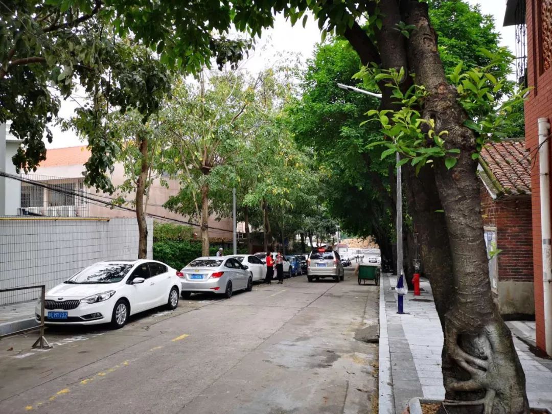 不再水浸、拐角见绿…藏在这里的旧时光与烟火气，更加绚丽