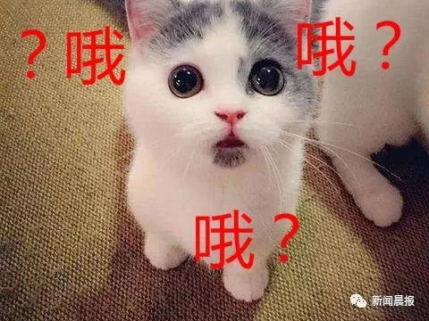 一帮网友疯狂给她打钱！女白领入账500多万！那些被“假精致”掏空的年轻人…