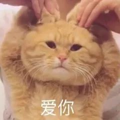 张若昀和唐艺昕谈了多久恋爱,张若昀和唐艺昕发糖不断羡煞旁人