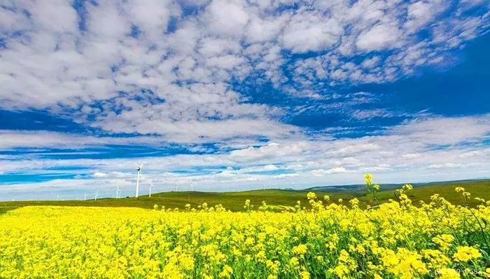 早安内蒙古自治区,早安乌兰察布市