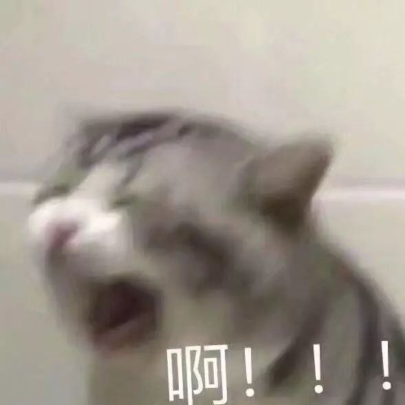 张若昀和唐艺昕谈了多久恋爱,张若昀和唐艺昕发糖不断羡煞旁人