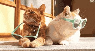 天然氧吧打卡！常德这个公园竟藏着宫崎骏的夏天，美到窒息...