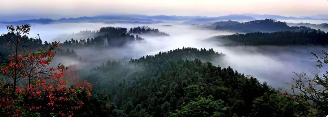 天然氧吧打卡！常德这个公园竟藏着宫崎骏的夏天，美到窒息...