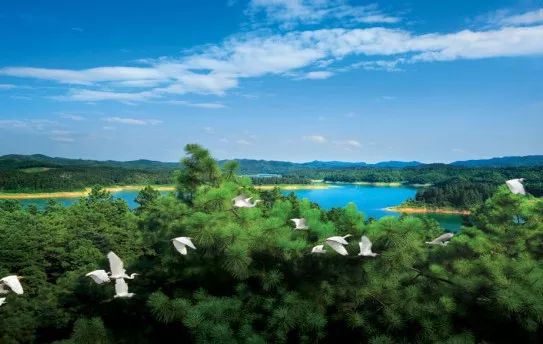 天然氧吧打卡！常德这个公园竟藏着宫崎骏的夏天，美到窒息...