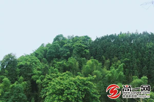 天然氧吧打卡！常德这个公园竟藏着宫崎骏的夏天，美到窒息...