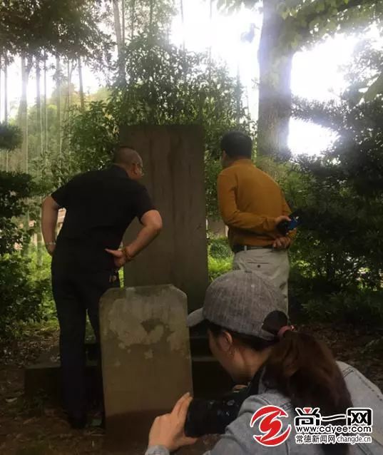 天然氧吧打卡！常德这个公园竟藏着宫崎骏的夏天，美到窒息...