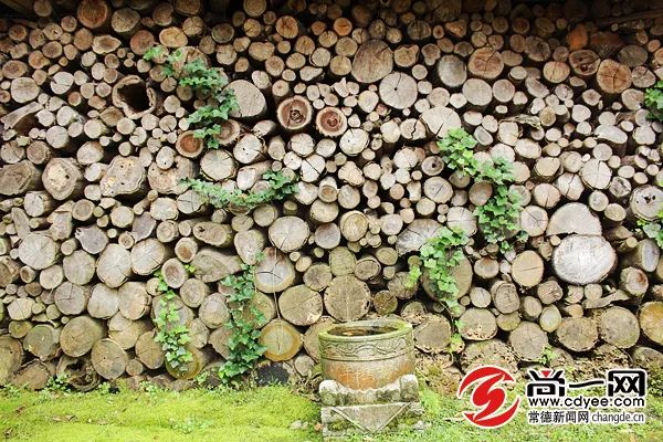 天然氧吧打卡！常德这个公园竟藏着宫崎骏的夏天，美到窒息...