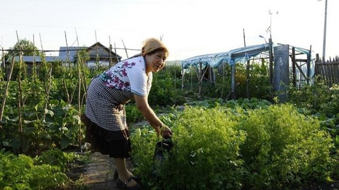 去呼伦贝尔旅游详细攻略,呼伦贝尔吃住行攻略