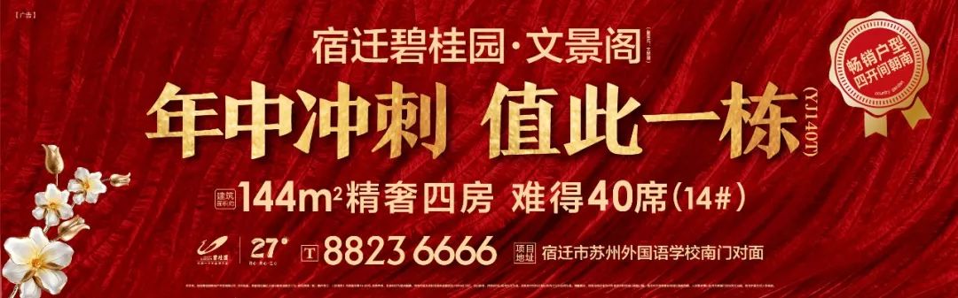 宿迁大兴飞机场最新消息,宿迁市大兴镇机场最新消息