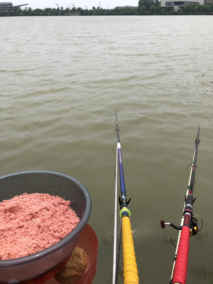 初春河流大水面野钓,大水面滑漂野钓