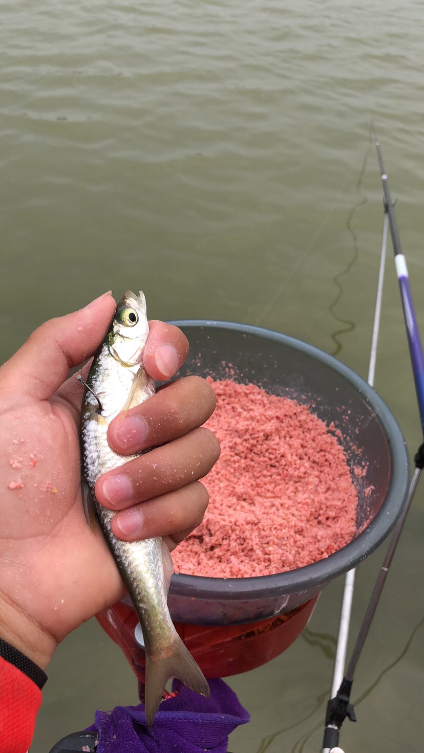 初春河流大水面野钓,大水面滑漂野钓