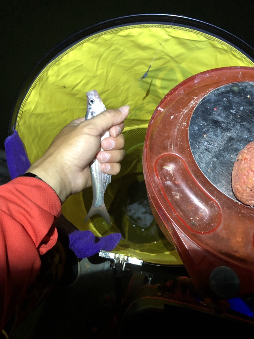 初春河流大水面野钓,大水面滑漂野钓