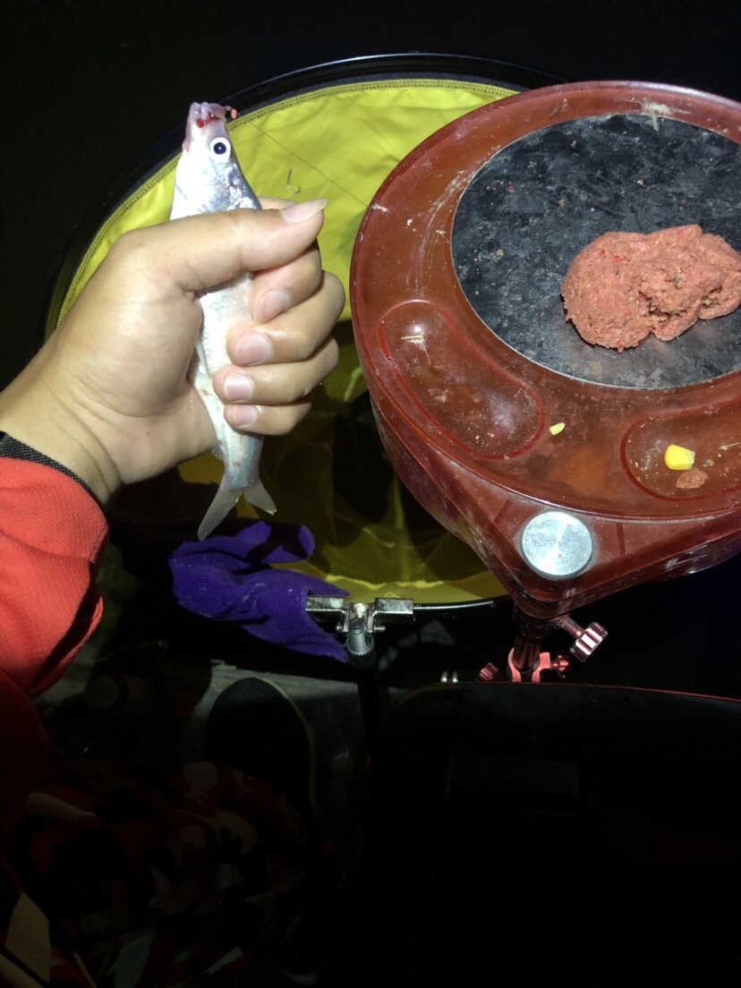 初春河流大水面野钓,大水面滑漂野钓