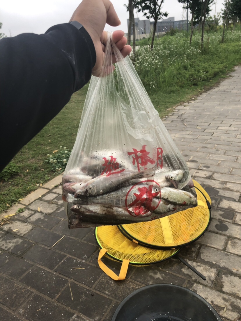 初春河流大水面野钓,大水面滑漂野钓