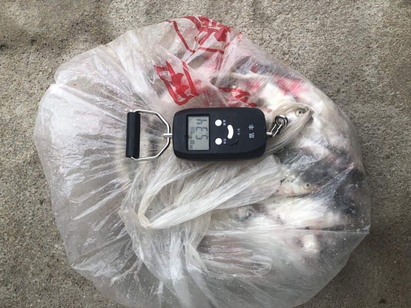 初春河流大水面野钓,大水面滑漂野钓