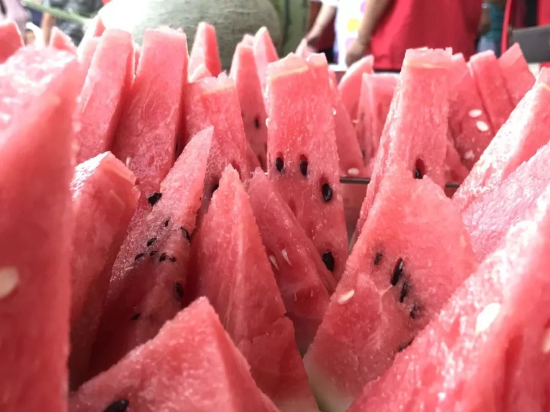 附近有哪些甜瓜采摘,好耍的采摘园