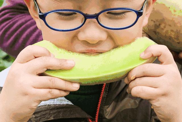 附近有哪些甜瓜采摘,好耍的采摘园