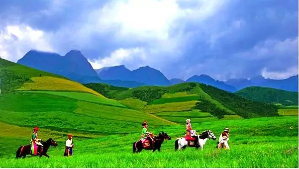 征稿选登生而为人,登上山顶看美景投稿