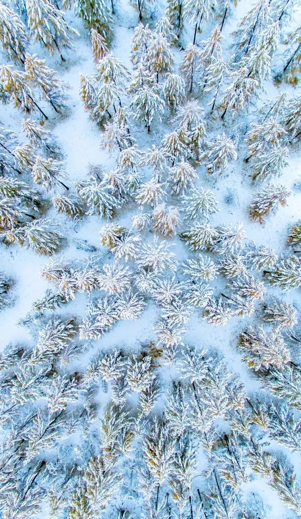 「荐读」朋友圈消失两年，他独自航拍中国，照片惊艳世界