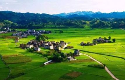 7507亩！郑州多个城中村控规公示；年薪20万，河南多地招教师近千人丨大河早新闻（语音版）